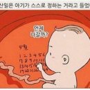 미르피아산후조리원 이미지