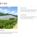 도자농장 | &#34;60대 부모님과 떠나는 딸기 농장 1박 2일 코스&#34;