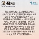 콩깍지