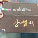 양영신 | 공샘이 제주 감귤 미친 당도 완전 존맛