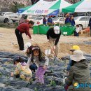 박정자농장 이미지