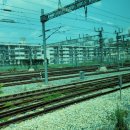 새동해약국 이미지