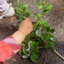 도고온천초등학교병설유치원 이미지