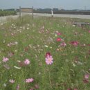 곰섬하우스 이미지