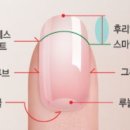 뷰티엔건강