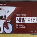 선물앤파파