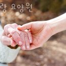 부천요양원 효사랑 요양원 위치안내