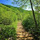 힐링 1코스 이미지