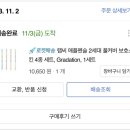애플스킨 이미지