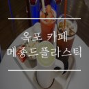 메죵드플라스틱