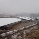 대환축사 이미지