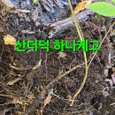 윈풀 이미지