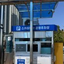 ㈜광안교통[마을버스] | 부산 오륙도 | 해맞이공원 스카이워크 수선화 실시간 개화율 3월 말 4월 부산 여행 필수 코스