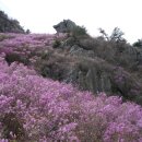 버든농장 이미지