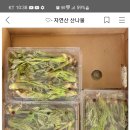 방울토마토 또는 두릅 용기? 이미지