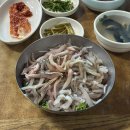 경주초장 | 경주 용산회식당 l 현지인이 추천하는 40년 노포 맛집 초장 회덮밥 추천 오픈런 후기