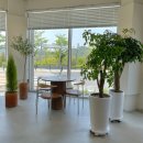 레이지 데이 이미지