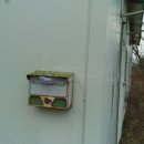 2022-주185 이미지