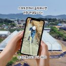 비에스팜 네이버블로그
