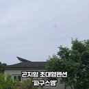 파구스엠 네이버블로그