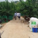 만복농장 이미지