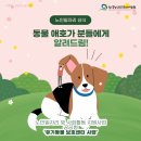 군산시니어클럽 이미지