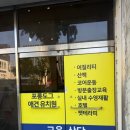 전주애견유치원 몽카롱 | 전주 애견미용 추천 포롱살롱｜금암동 포롱도그 강아지미용 후기