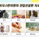 이지스가나 네이버블로그