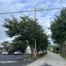 용소막농장 이미지