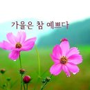 한계절을 보내고 뵙는 오딧세이님 !!! 이미지
