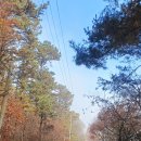 파주종계장 이미지