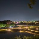 계림문화사
