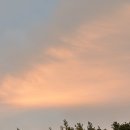 대한곱창 | [이천 하이닉스점] ˗ˋˏ 쫄깃+고소=행복 ✨ 대한곱창 솔직 후기 ˎˊ˗