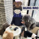 멍브로 | 경기도 성남 카페 | 가나디 고양이 천국 냄새없이 깨끗한 애견카페 이색데이트 내돈내산 ‘멍브로’