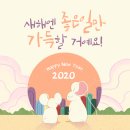 안동동물의료센터 이미지