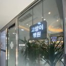 미르동물의료센터 이미지