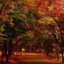 신사2-008 이미지