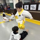 장산태권도 이미지