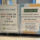 솔소아청소년과의원 네이버블로그