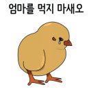 남해-73 이미지