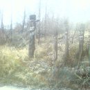 응봉농장2 이미지