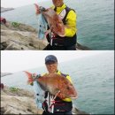 황제도