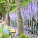 보라매공원 정원박람회 다녀왔어요. 이미지