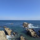 구룡포 - 평택시 세교상가1길 73 | 구룡포