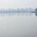 기흥호수 공인중개사사무소 | [현장 탐방] 기흥호수 파크골프장 준공, 그 현장을 가다!
