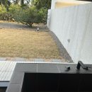 무라소원 | 제주도 여행 자쿠지 독채 감성 숙소 무라소원 솔직후기