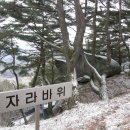 영주시(풍기) 용암산 637m 시루봉 601m 이미지