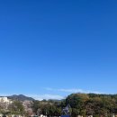 외동반림로248번길 | 창원 가로수길 햄버거 맛집, “버거 인 뉴욕“ 진상고객이 방문해 본 후기