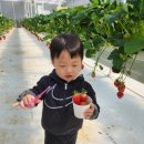 겨리농장 이미지