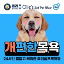 올리스 24 이미지